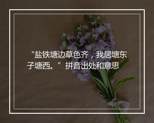 “盐铁塘边草色齐，我居塘东子塘西。”拼音出处和意思