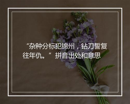 “杂种分标犯锦州，钻刀誓复往年仇。”拼音出处和意思