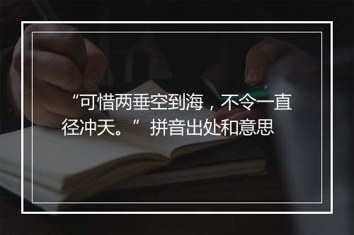 “可惜两垂空到海，不令一直径冲天。”拼音出处和意思