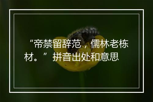 “帝禁留辞范，儒林老栋材。”拼音出处和意思