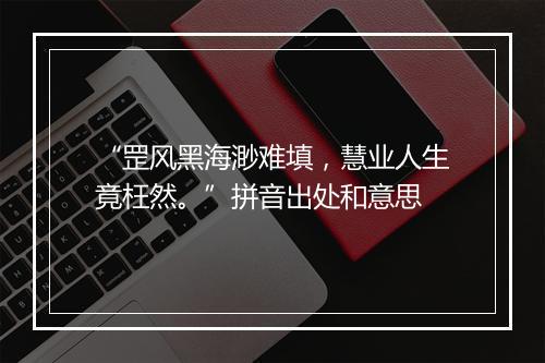 “罡风黑海渺难填，慧业人生竟枉然。”拼音出处和意思