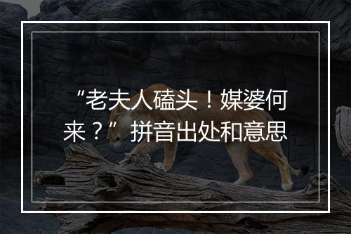 “老夫人磕头！媒婆何来？”拼音出处和意思