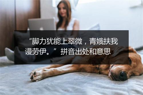 “脚力犹能上翠微，青娥扶我谩劳伊。”拼音出处和意思