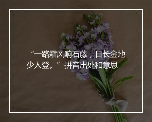 “一路霜风响石藤，日长金地少人登。”拼音出处和意思