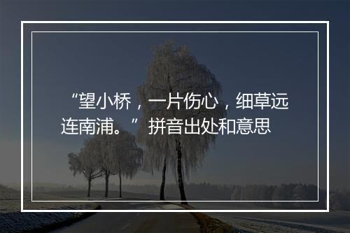 “望小桥，一片伤心，细草远连南浦。”拼音出处和意思