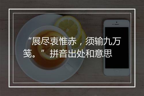 “展尽衷惟赤，须输九万笺。”拼音出处和意思