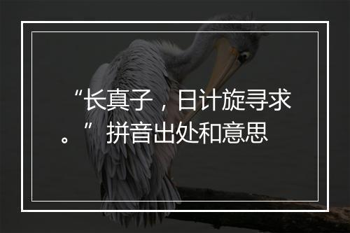 “长真子，日计旋寻求。”拼音出处和意思