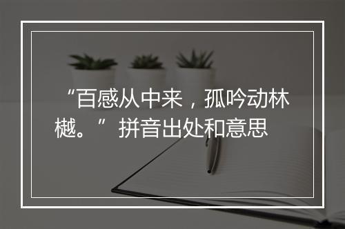 “百感从中来，孤吟动林樾。”拼音出处和意思