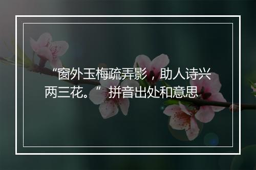 “窗外玉梅疏弄影，助人诗兴两三花。”拼音出处和意思