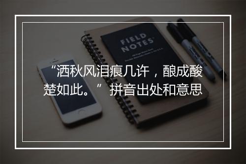 “洒秋风泪痕几许，酿成酸楚如此。”拼音出处和意思