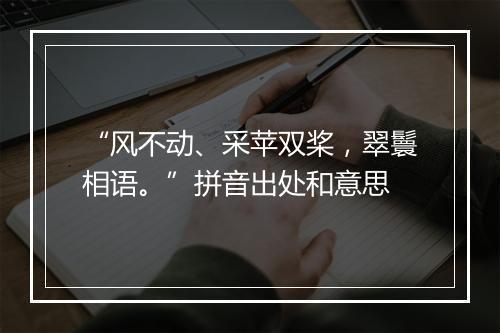 “风不动、采苹双桨，翠鬟相语。”拼音出处和意思