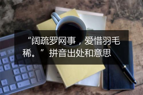 “阔疏罗网事，爱惜羽毛稀。”拼音出处和意思