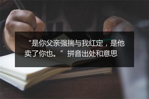 “是你父亲强揣与我红定，是他卖了你也。”拼音出处和意思