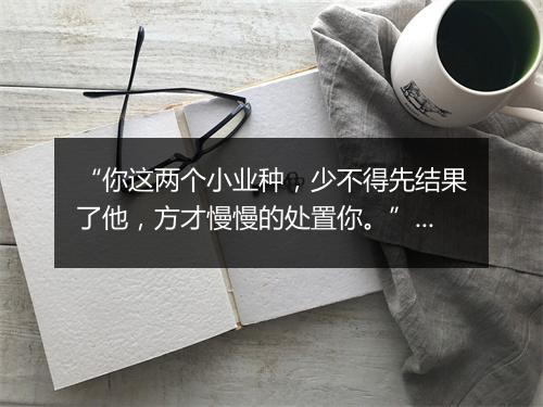 “你这两个小业种，少不得先结果了他，方才慢慢的处置你。”拼音出处和意思