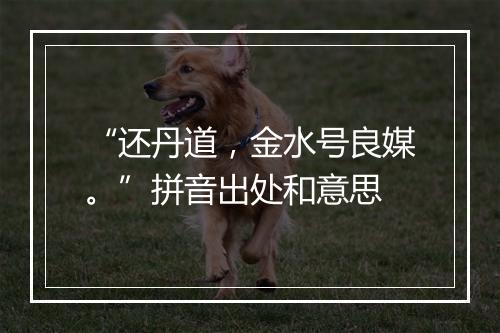 “还丹道，金水号良媒。”拼音出处和意思