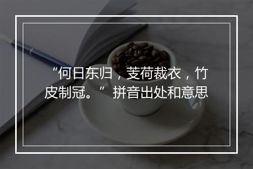 “何日东归，芰荷裁衣，竹皮制冠。”拼音出处和意思