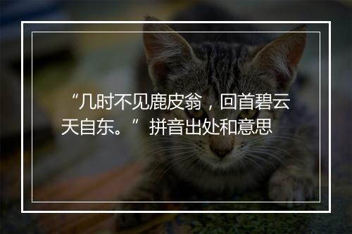 “几时不见鹿皮翁，回首碧云天自东。”拼音出处和意思