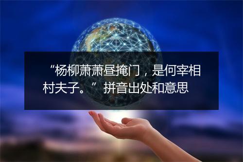 “杨柳萧萧昼掩门，是何宰相村夫子。”拼音出处和意思