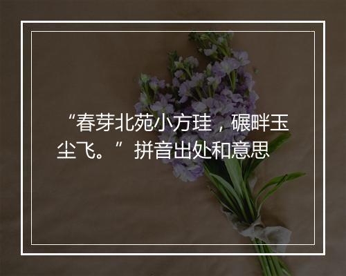 “春芽北苑小方珪，碾畔玉尘飞。”拼音出处和意思