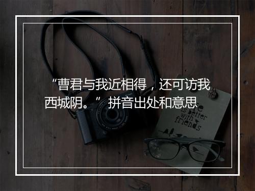 “曹君与我近相得，还可访我西城阴。”拼音出处和意思