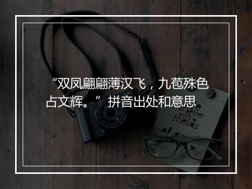 “双凤翩翩薄汉飞，九苞殊色占文辉。”拼音出处和意思