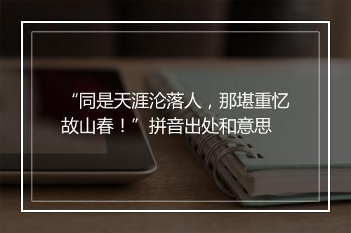 “同是天涯沦落人，那堪重忆故山春！”拼音出处和意思