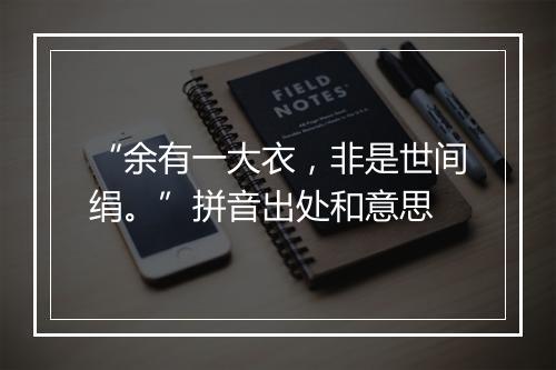 “余有一大衣，非是世间绢。”拼音出处和意思