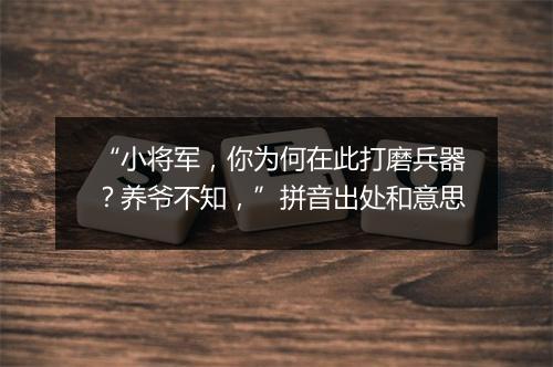 “小将军，你为何在此打磨兵器？养爷不知，”拼音出处和意思