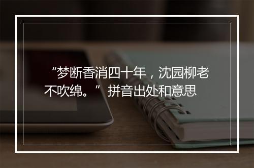 “梦断香消四十年，沈园柳老不吹绵。”拼音出处和意思