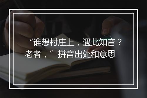 “谁想村庄上，遇此知音？老者，”拼音出处和意思