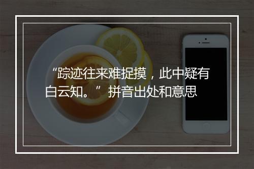 “踪迹往来难捉摸，此中疑有白云知。”拼音出处和意思