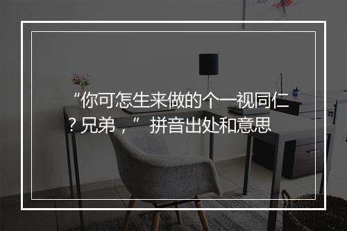 “你可怎生来做的个一视同仁？兄弟，”拼音出处和意思