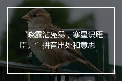 “晓露沾凫舄，寒星识雁臣。”拼音出处和意思