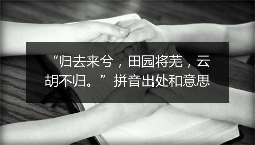 “归去来兮，田园将芜，云胡不归。”拼音出处和意思