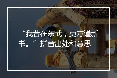 “我昔在东武，吏方谨新书。”拼音出处和意思