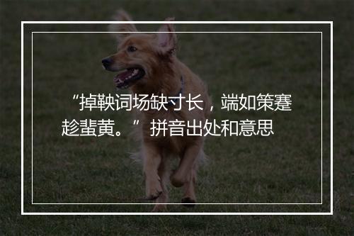 “掉鞅词场缺寸长，端如策蹇趁蜚黄。”拼音出处和意思