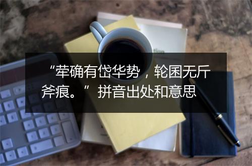 “荦确有岱华势，轮囷无斤斧痕。”拼音出处和意思