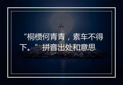 “桐槚何青青，素车不得下。”拼音出处和意思