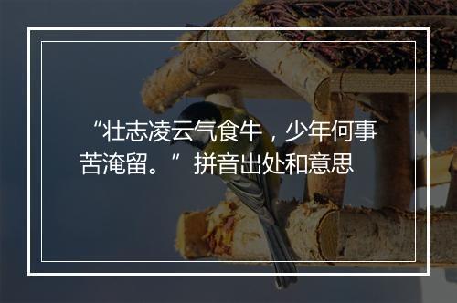 “壮志凌云气食牛，少年何事苦淹留。”拼音出处和意思