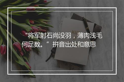 “将军射石尚没羽，薄肉浅毛何足数。”拼音出处和意思