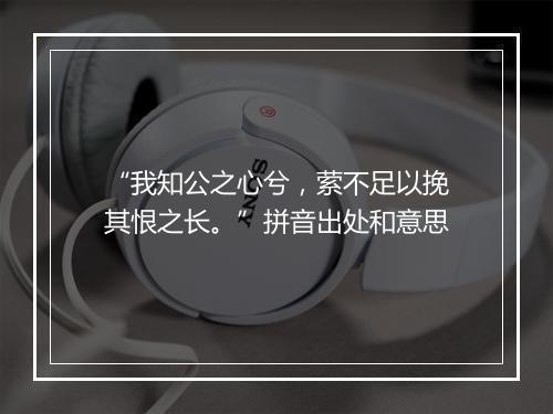 “我知公之心兮，萦不足以挽其恨之长。”拼音出处和意思