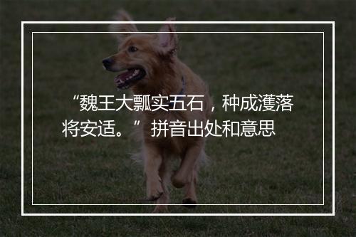 “魏王大瓢实五石，种成濩落将安适。”拼音出处和意思