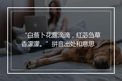 “白薝卜花露滴滴，红苾刍草香濛濛。”拼音出处和意思