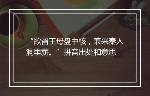 “欲留王母盘中核，兼采秦人洞里薪。”拼音出处和意思