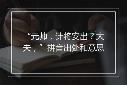 “元帅，计将安出？大夫，”拼音出处和意思