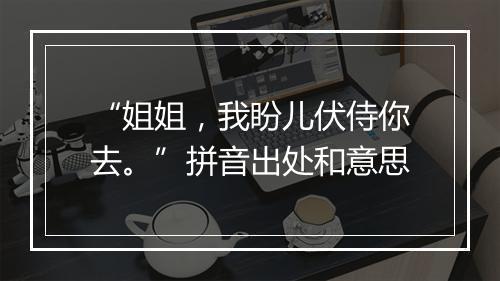 “姐姐，我盼儿伏侍你去。”拼音出处和意思