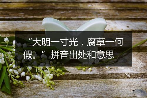 “大明一寸光，腐草一何假。”拼音出处和意思