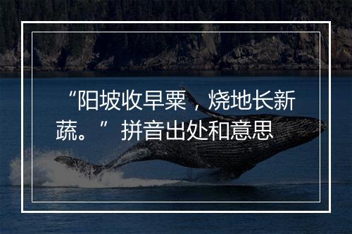 “阳坡收早粟，烧地长新蔬。”拼音出处和意思