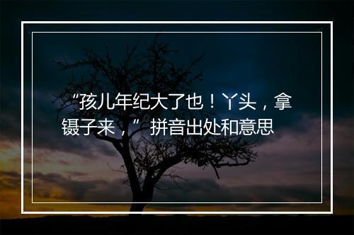 “孩儿年纪大了也！丫头，拿镊子来，”拼音出处和意思