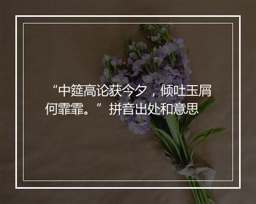 “中筵高论获今夕，倾吐玉屑何霏霏。”拼音出处和意思